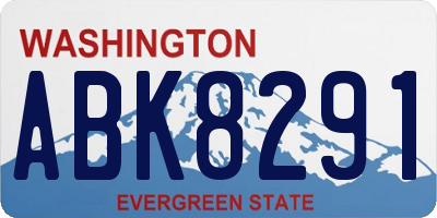 WA license plate ABK8291