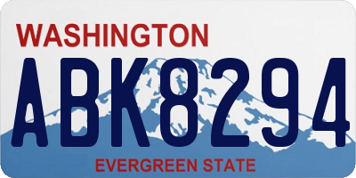 WA license plate ABK8294