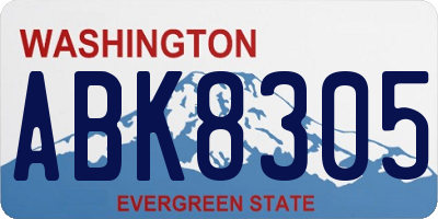 WA license plate ABK8305
