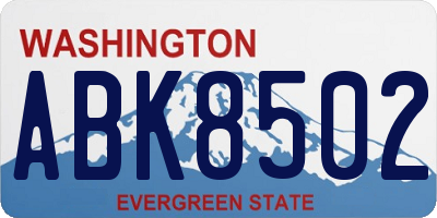 WA license plate ABK8502