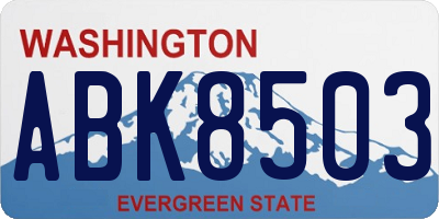 WA license plate ABK8503
