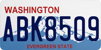 WA license plate ABK8509
