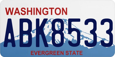 WA license plate ABK8533
