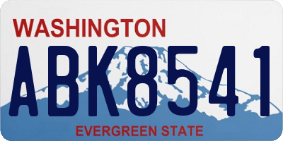 WA license plate ABK8541