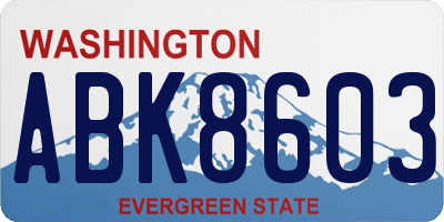 WA license plate ABK8603