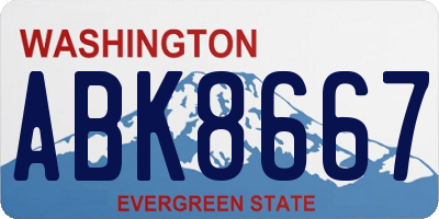 WA license plate ABK8667