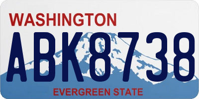 WA license plate ABK8738