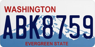 WA license plate ABK8759