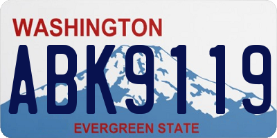 WA license plate ABK9119