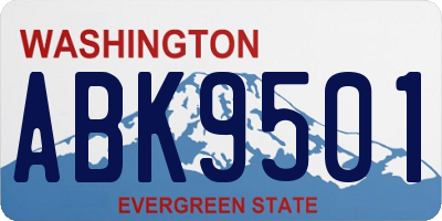 WA license plate ABK9501