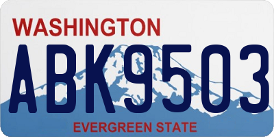 WA license plate ABK9503