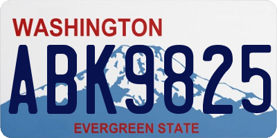 WA license plate ABK9825