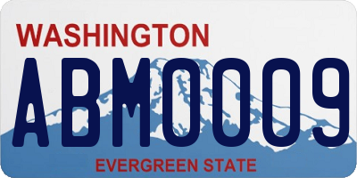 WA license plate ABM0009