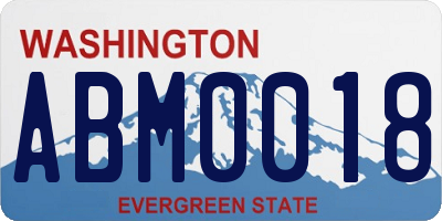 WA license plate ABM0018