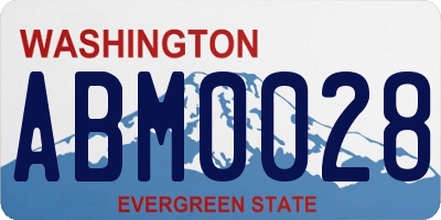 WA license plate ABM0028