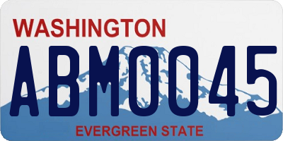 WA license plate ABM0045