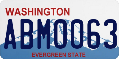 WA license plate ABM0063