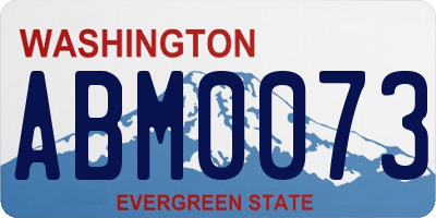 WA license plate ABM0073