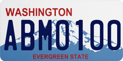 WA license plate ABM0100