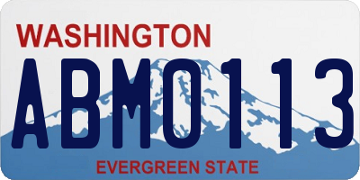 WA license plate ABM0113