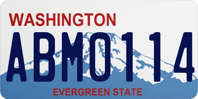 WA license plate ABM0114