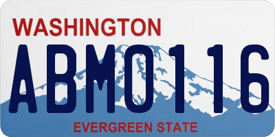 WA license plate ABM0116