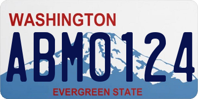 WA license plate ABM0124