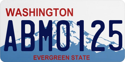 WA license plate ABM0125