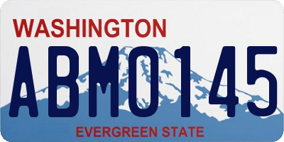 WA license plate ABM0145