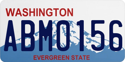 WA license plate ABM0156