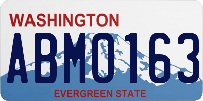 WA license plate ABM0163