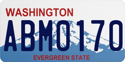 WA license plate ABM0170