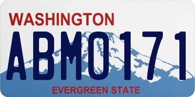 WA license plate ABM0171