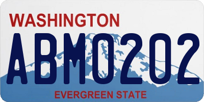 WA license plate ABM0202