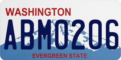 WA license plate ABM0206