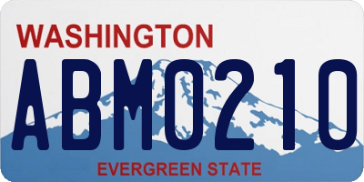 WA license plate ABM0210