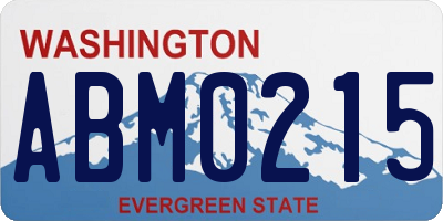 WA license plate ABM0215