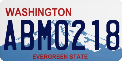 WA license plate ABM0218