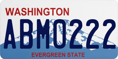 WA license plate ABM0222