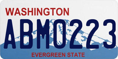 WA license plate ABM0223