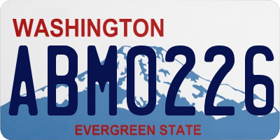 WA license plate ABM0226