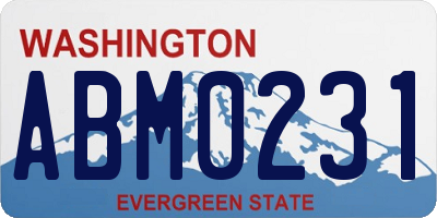 WA license plate ABM0231