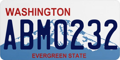 WA license plate ABM0232