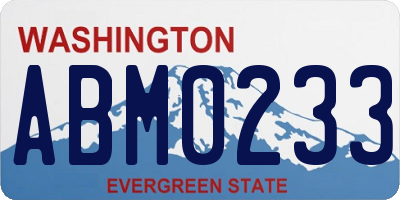 WA license plate ABM0233