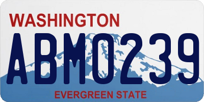 WA license plate ABM0239