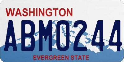 WA license plate ABM0244