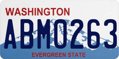 WA license plate ABM0263