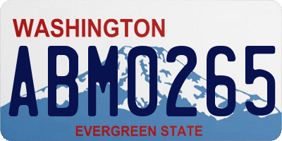 WA license plate ABM0265