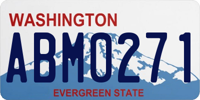 WA license plate ABM0271