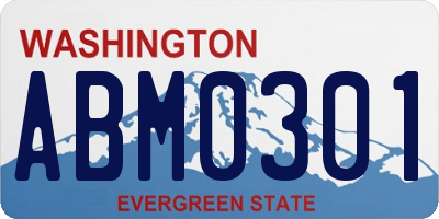 WA license plate ABM0301